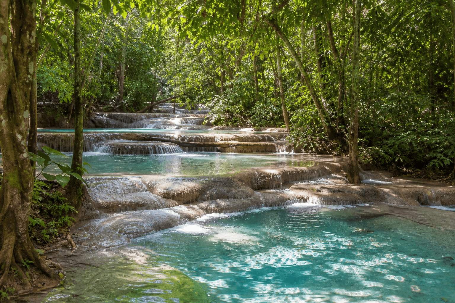 Seven-color mineral spring pools near Bua Tong Mae Taeng