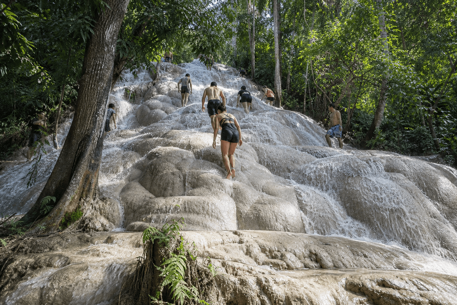 Bua Tong sticky waterfall Mae Taeng — climbing limestone tiers