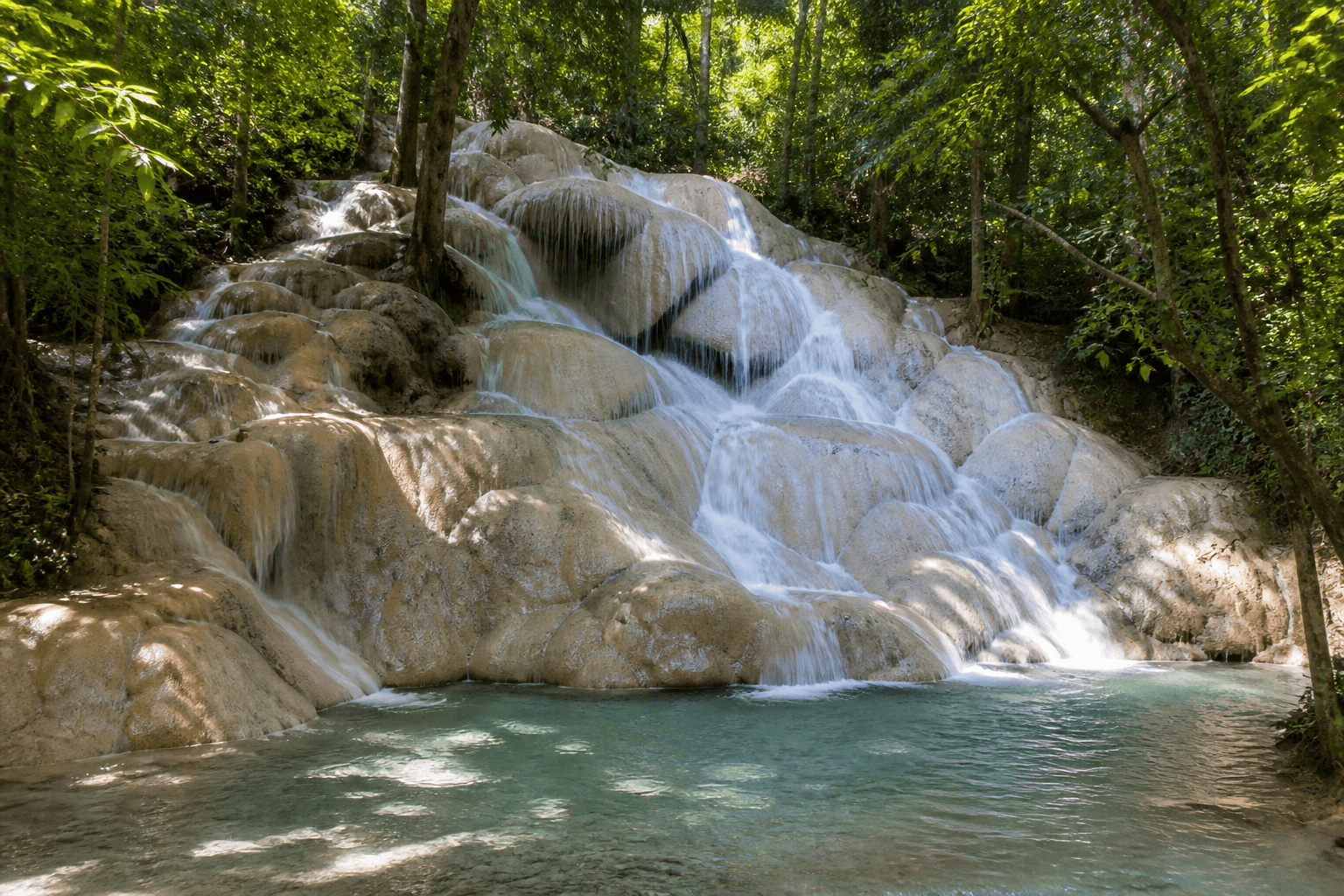 Wide view of Bua Tong sticky waterfall limestone tiers in the jungle