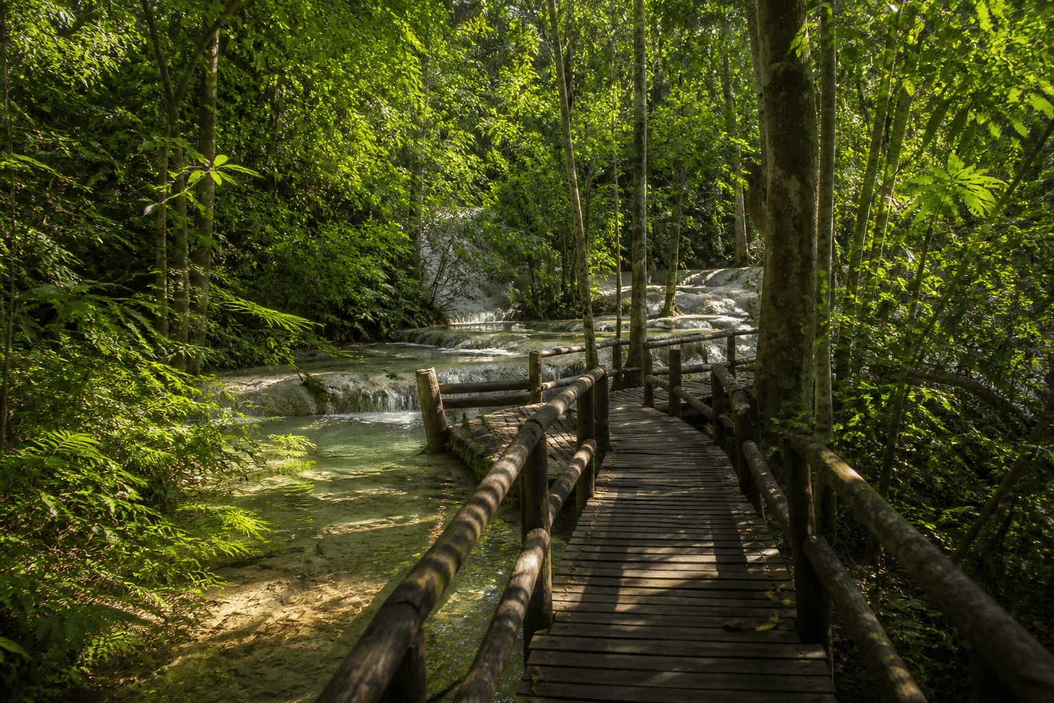 Forest boardwalk toward the seven-color spring near Bua Tong