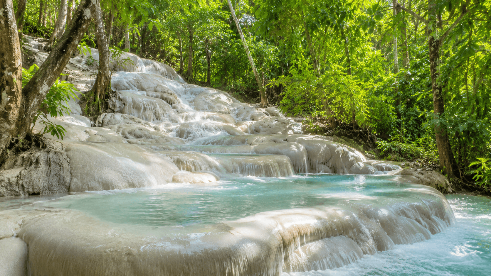 Bua Tong sticky waterfall limestone tiers and turquoise pools in the forest